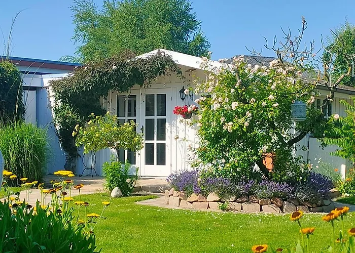 Luana's White Проживание в семье *